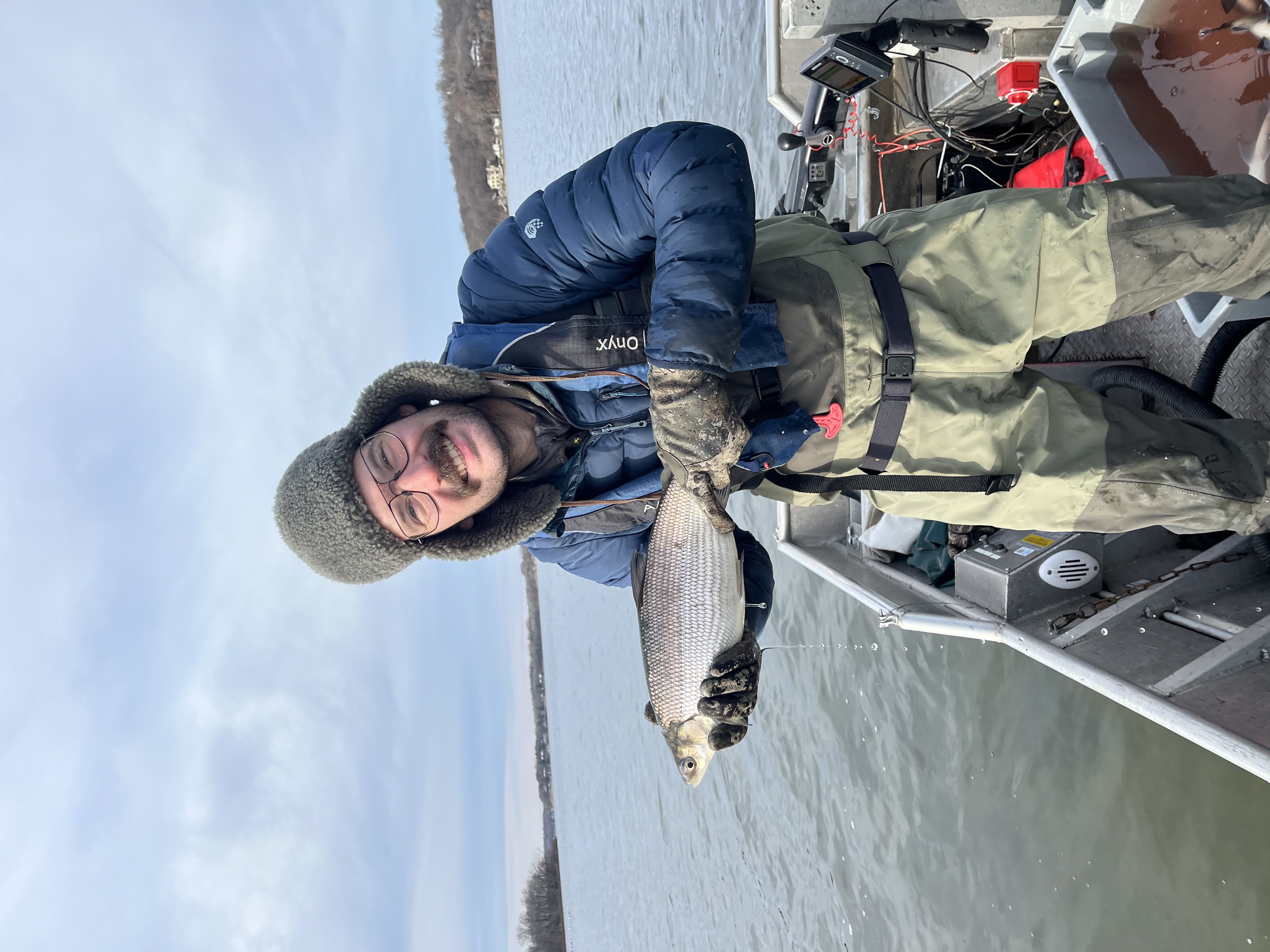 Great Lakes Coregonids